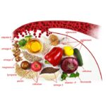 Ushqimet që ndihmojnë në rritjen e numrit të trombociteve