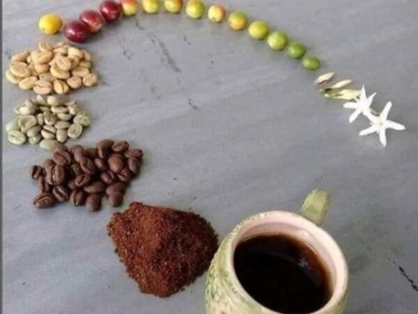 Si u bë kafeja pije – Historia interesante e saj